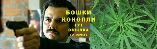 альфа пвп Горнозаводск