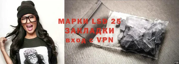 ГАЛЛЮЦИНОГЕННЫЕ ГРИБЫ Горняк