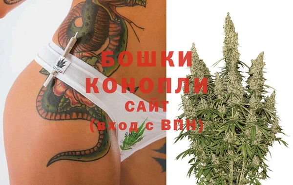 ГАЛЛЮЦИНОГЕННЫЕ ГРИБЫ Горняк