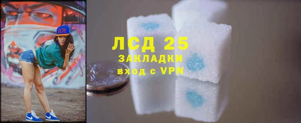 стаф Медногорск