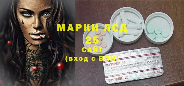 ГАЛЛЮЦИНОГЕННЫЕ ГРИБЫ Горняк